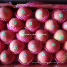 High Quality Fresh Red Fuji Apple